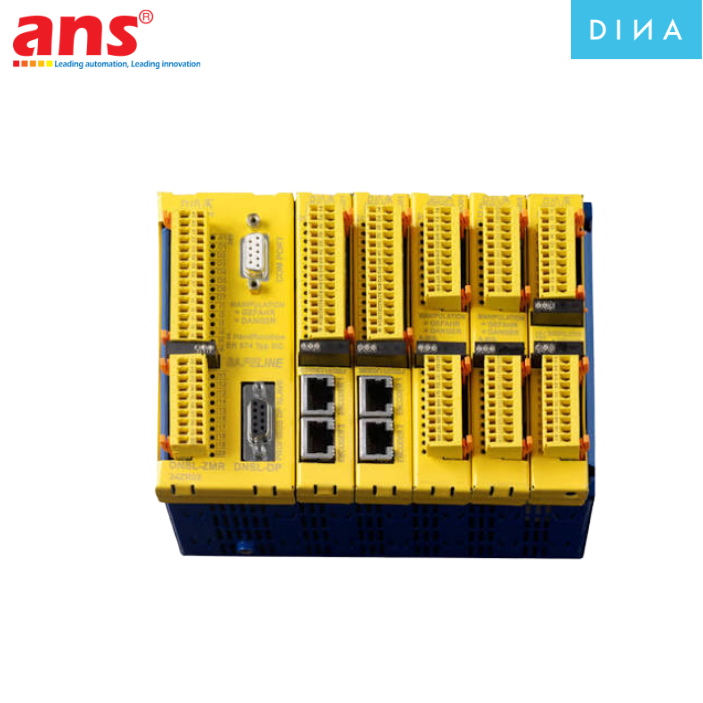 dnsl-zm.png